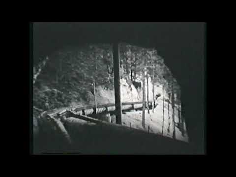 Viktor Schauberger Historischer Film Tragendes Wasser