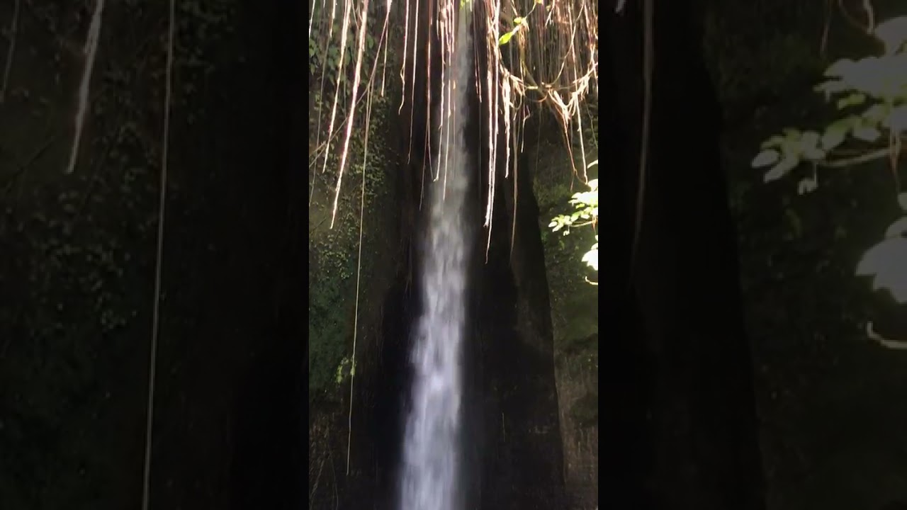 YouTube Short thumbnail