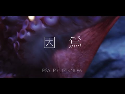 Psy.P & KnowKnow - 因为 (Official Lyric Video)