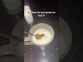 SECRET To Growing Taller FAST Heightincrease Height Milk Honey