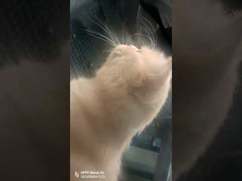 ramboochiii kunuvavaaaaa 🔥🔥🔥🔥🔥🔥🔥🔥🔥🔥🔥🔥❤️❤️❤️❤️❤️🔥🔥❤️🔥🔥❤️❤️❤️❤️🔥🔥🔥🔥🔥🔥🔥🔥🔥🔥🔥❤️❤️❤️❤️❤️🔥🔥❤️❤️❤️😘😘😘😘