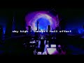 Elektronomia Sky High Concert Hall Effect