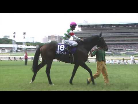 2017 Yasuda Kinen - Satono Aladdin (JPN)