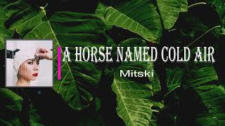 Mitski - A Horse Named Cold Air (Lyrics)