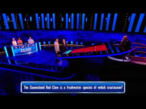 Ian's Close Call With The Barrister - The Chase