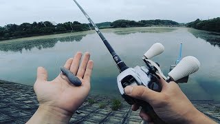 【野池】初フィールドでこれさえあれば釣れる説