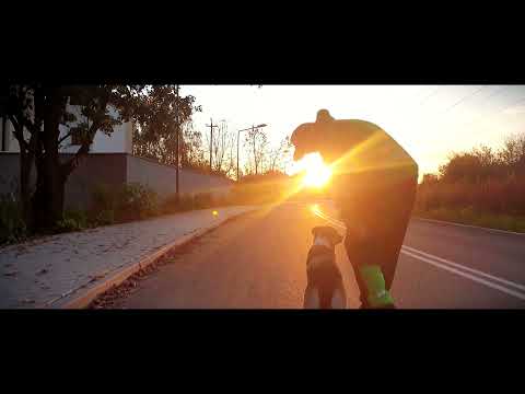 KSR (\MK/) - Ku Słońcu Rejs