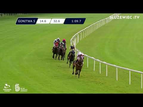 12.06.2021 (D13; G5; Tor: 2.8; 25°C) Nagroda Soliny - (kat.B)