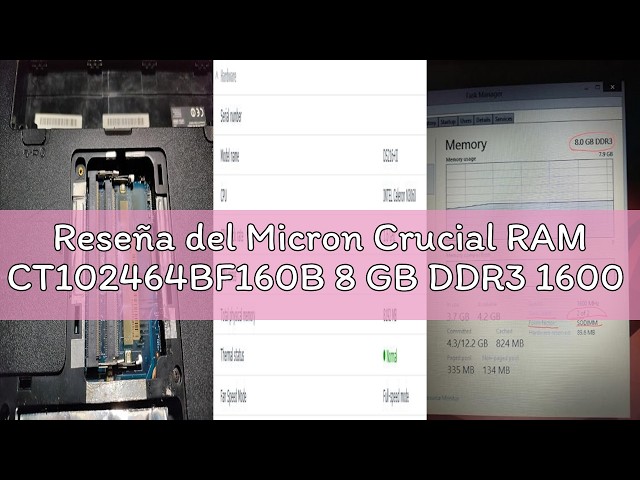 Vídeo relacionado con Crucial RAM CT102464BF160B 8 GB DDR3 1600 MHz CL11 Memoria Portátil