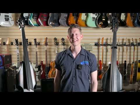 BSX Allegro Acoustic/Electric Upright Bass