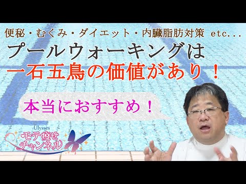 嵐の前後にプールを維持するにはどうすればよいですか?きれいな水を見つけるために知っておくべきことすべて  庭園