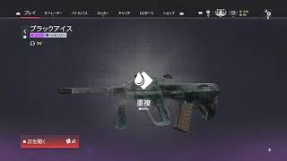 R6S