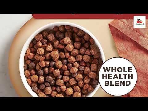 Rachael Ray Nutrish Premium Natural Dry Dog Food Buying Guide