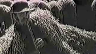 Vízöntő - Nád Jancsi (original 1987)