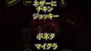 ネザーにもチキンジョッキーが出現することがあるのですね　【マイクラ/マインクラフト】 #shorts