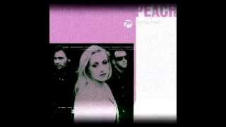 Peach - Sorrow Town (Bassbin Twins Cut 'N' Paste Mix)