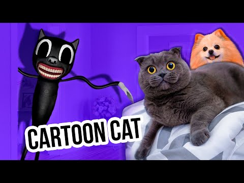 ПИТОМЦЫ ПРОТИВ КАРТУН КЭТ | CARTOON CAT В РЕАЛЬНОЙ ЖИЗНИ - НАПАЛ НА КИСУ БАТТЕРС И ШПИЦА ЭЛИС