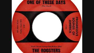 The Roosters - One of these days