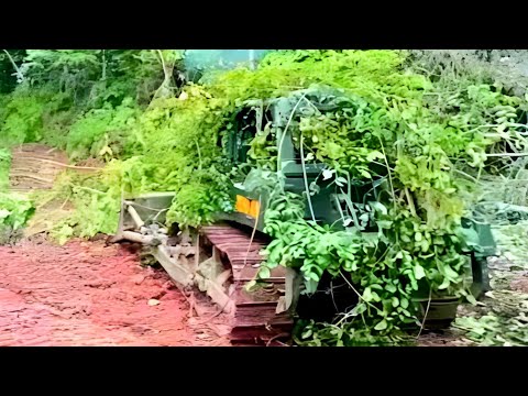 Veprimet qesharake të operatorëve dozer në terren në pastrimin e tokës së plantacioneve