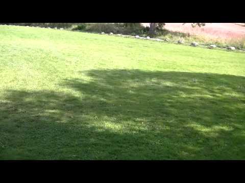 MongoTV_544 - Del 20 - John På Sensommerudflugt Mandag Den 10.August 2015