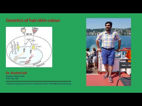 Genetics of hair/skin colour