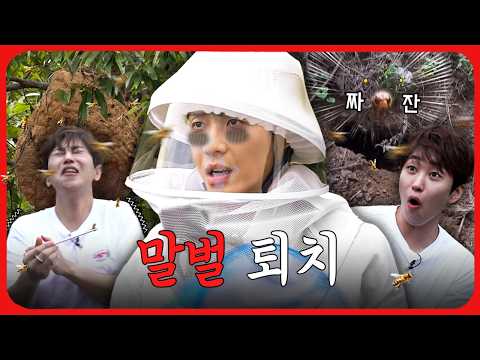 K-말벌 참교육..당하고 왔습니다 🐝 | 말벌 퇴치 알바 | 워크맨 | 이준·딘딘