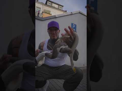 BTM - EISBEIN 🧊🦵 (OFFICIAL MUSIC VIDEO)