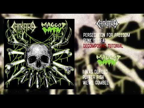 CHIKARA - Maggot Bath SPLIT (CRUST/ SLUDGECORE - 2021)