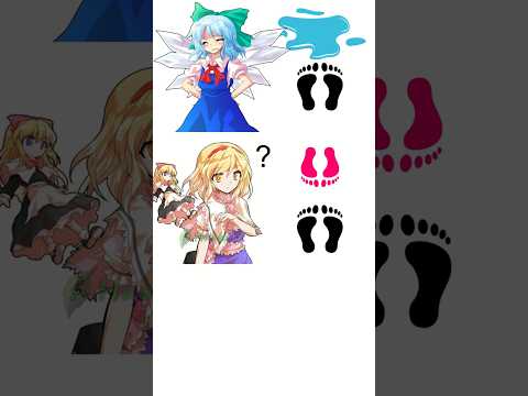 Touhou - Footprint Pattern Recognition Meme 2