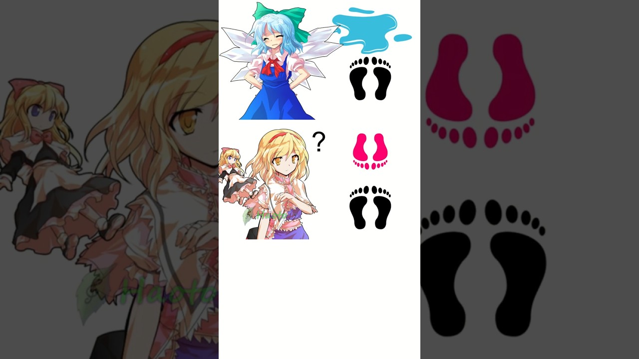 Touhou - Footprint Pattern Recognition Meme 2