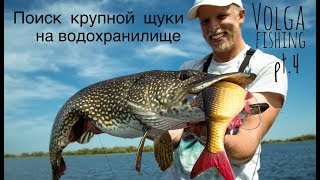 Ловля крупной щуки на воблеры