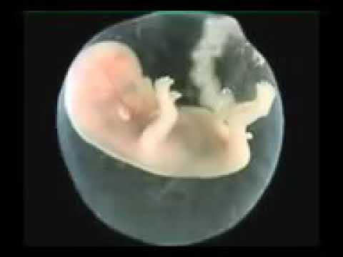 Jab tu paida hua kitna majboor tha