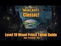 Level 19 Twink Priest Guide! (Gear, Talents, Tips) - World of Warcraft Classic