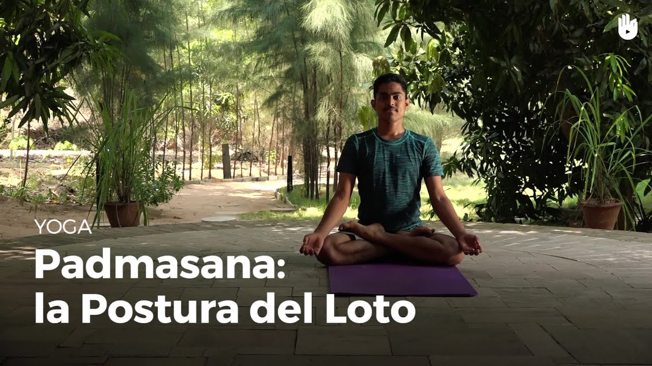 Loto Invertido Padmasana: el loto - Aprende a hacer Yoga | Sikana