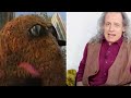 Voices Behind Sesame Street