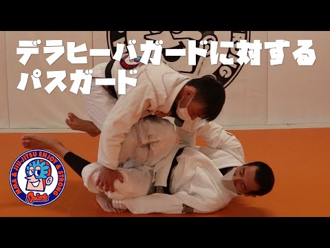 デラヒーバガードに対するパスガード