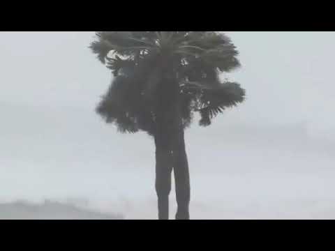 Michael Kasırga  Here's a live look at Panama City