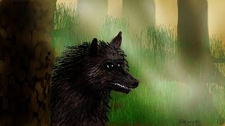 Kat's strange Dogman encounter at the cabin; Bigfoot at scout camp