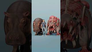 Zoochosis Monsters Vs Real life Animals