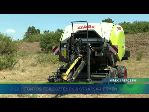 Hírek 1 Percben - 2022.07.06. - Medveészlelés; Strázsa-hegy; Városvédő Tábor