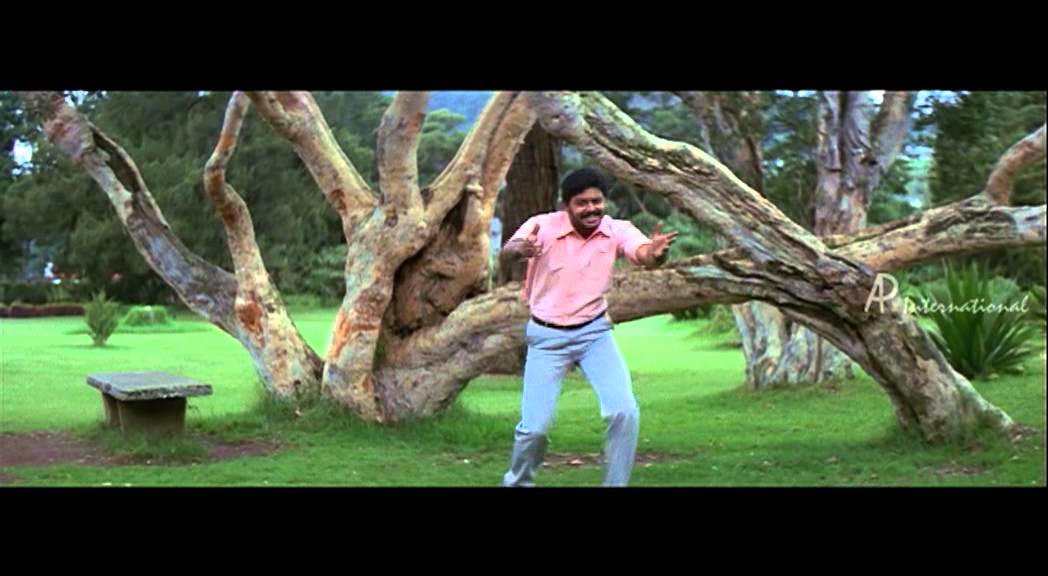 Pinju Mazhai Charal Song Lyrics | Varnajalam