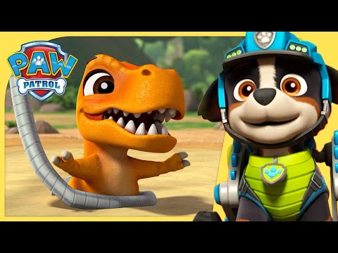Best Dino Rescues and MORE | PAW Patrol | Cartoons for Kids