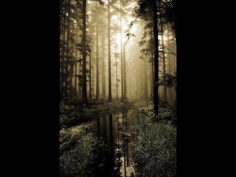 Calling the Others - ANILAH // Alan Watts