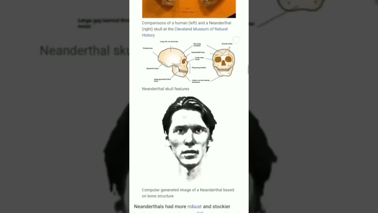 neanderthal jerma985