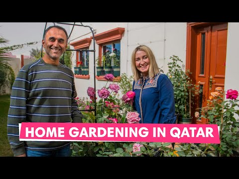 The Qatar expat with the 'green fingers' | Live Green