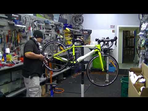 Cycleworld Concord