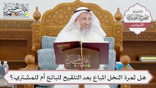[941] هل ثمرة النخل المباع بعد التلقيح للبائع أم للمشتري؟ - عثمان الخميس