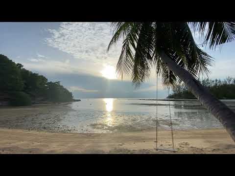 Byronsonic - Tropopause