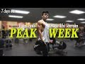 NÓI VỀ PEAK WEEK | 1 TUẦN TRƯỚC CUỘC THI