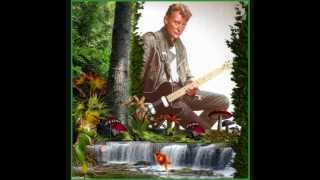 video johnny hallyday JEUNE HOMME